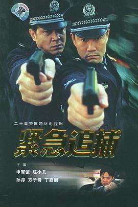 紧急追捕第4集