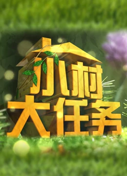 小村大任务第7期