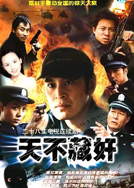 天不藏奸第08集
