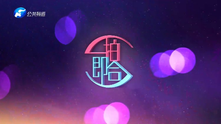 一拍即合嗨嗨嗨第20230831期