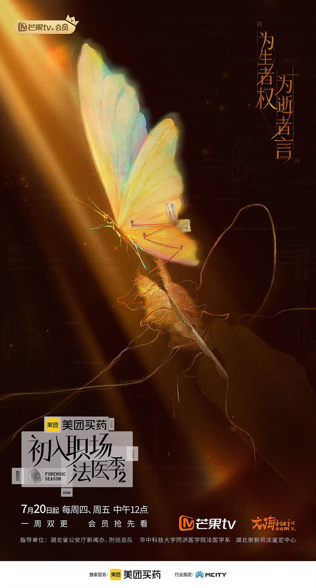 初入职场·法医季2第20230803期