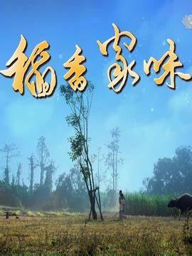 稻香家味第03集