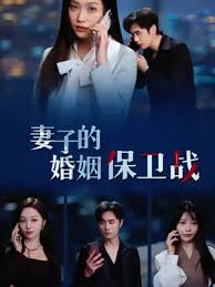 妻子的婚姻保卫战第09集