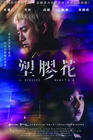 塑胶花第05集