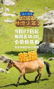 你好种地少年 第二季第20241101期