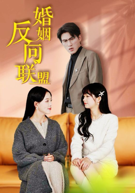 婚姻反向联盟第01-30集