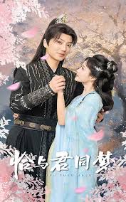 恰与君同梦第01-30集
