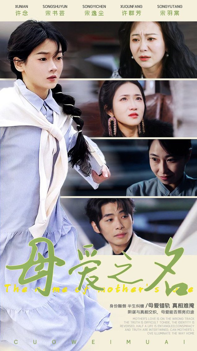 母爱之名第01-30集
